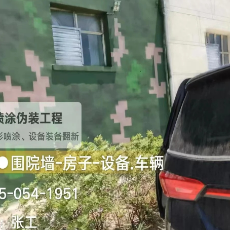 内蒙古数码迷彩漆施工
